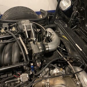 iOS Image - 481931389.jpg