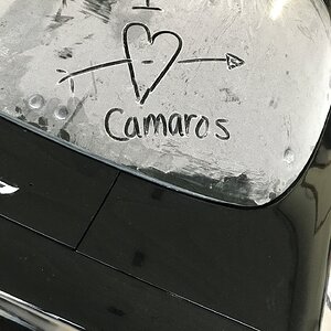 iOS Image - 773173337.jpg