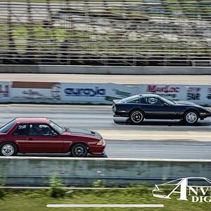 iOS Image - 269740631.jpg