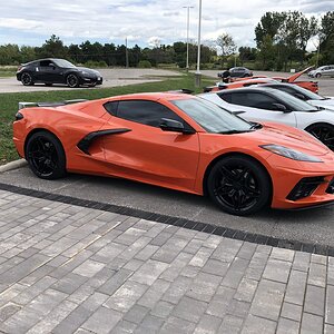 iOS Image - 3646975966.jpg