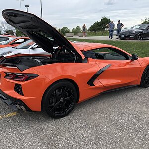 iOS Image - 3291558951.jpg