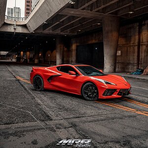 49842870761_80a0cffd2f_k (2).jpg