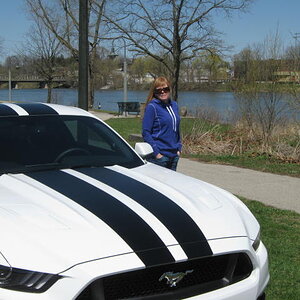 Lauries Mustang GT 008.JPG