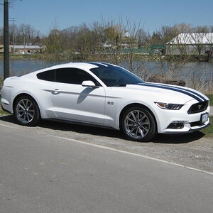 lauries Mustang GT 006.JPG