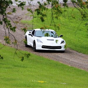 White Vette NFP Field.jpg