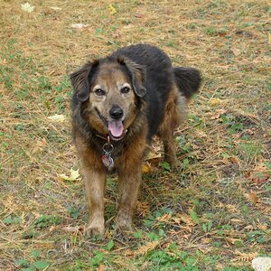 oct. 5 2012 lot pics 016.JPG