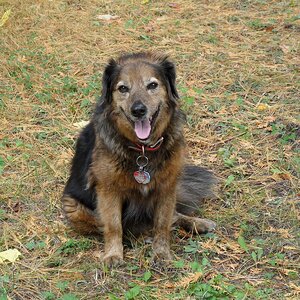 oct. 5 2012 lot pics 018.JPG