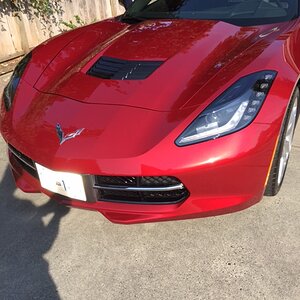 Corvette Shine 4.JPG