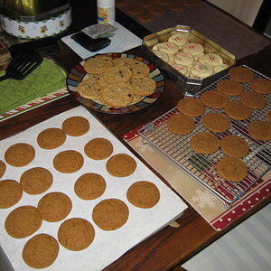 christmas cookies 001.JPG