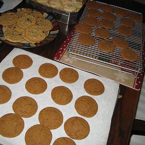 christmas cookies 003.JPG