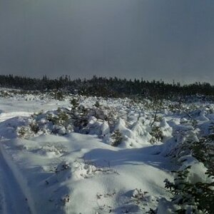 Bog_after_snow_storm.jpg