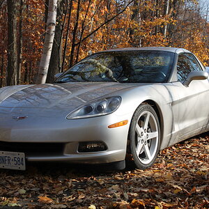 Our Corvette Front Quarter In Leaves.JPG