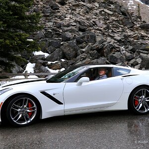 © White Stingray @ Moraine Lake 6--4-2017.jpg