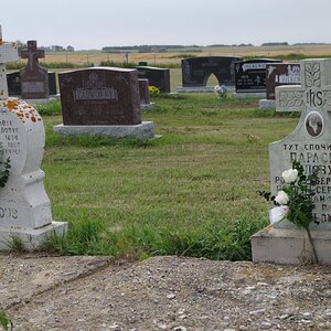 Dmytro, Paraska Bilovus - 2017 - 009.JPG