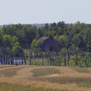 Homestead Barn - 2017 - 002.JPG