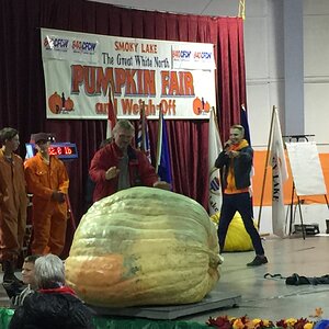 iOS Image - 2840262332.jpg