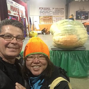 iOS Image - 288057516.jpg