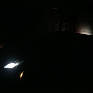 iOS Image - 3098152536.jpg