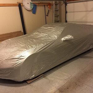 iOS Image - 3832662326.jpg