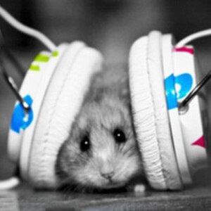 20-Mouse-with-headphones-listening-music.jpg