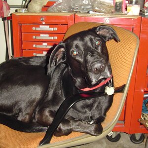 Chevy In Orange Garage Chair.jpg