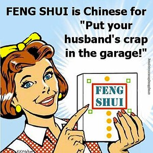 funny-pictures-what-feng-shui-stands-for.jpg