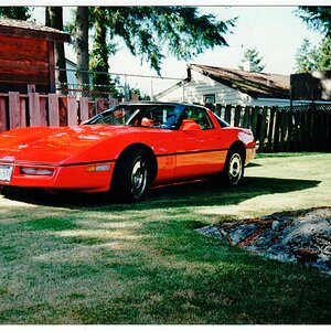 1981 Corvette -1.jpg