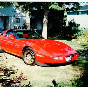 1981 Corvette - 2.jpg