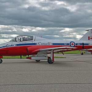 snowbirds-01.jpg