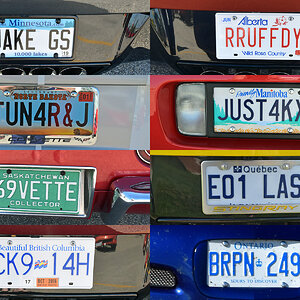 license_plates.jpg