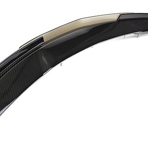 Carbon Spoiler.jpg