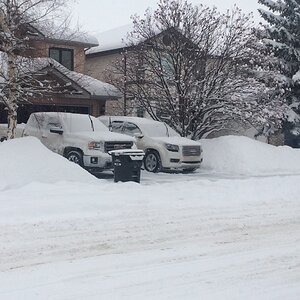 iOS Image - 248043676.jpg