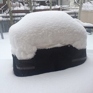 iOS Image - 2889444528.jpg