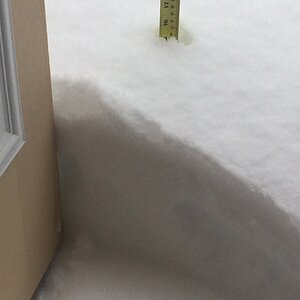 iOS Image - 640584608.jpg