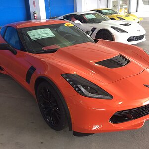 iOS Image - 949618283.jpg