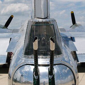 Sentimenatl Journey 6.jpg