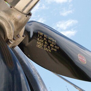 Sentimenatl Journey 2.jpg