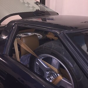 iOS Image - 2200686778.jpg