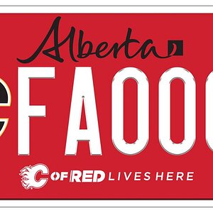 licence-plate-calgary-flames.jpg