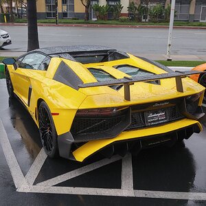 lambo6.jpg