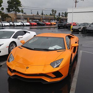lambo3.jpg