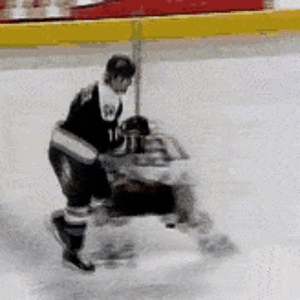 hockeygif.gif