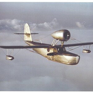 Fleetwings Seabird.jpg