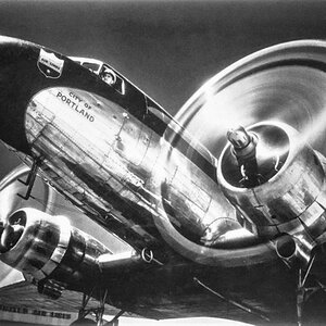 City of Portland D.C. - 3.JPG