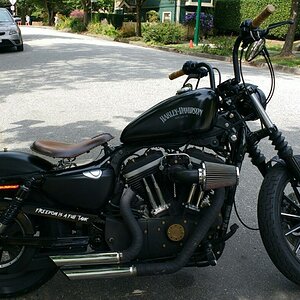 scaled_image (23).jpg