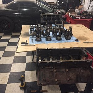 iOS Image - 4292126438.jpg