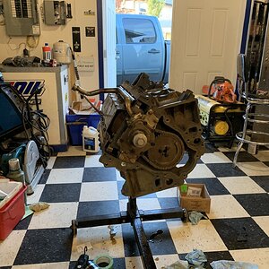 iOS Image - 380291360.jpg