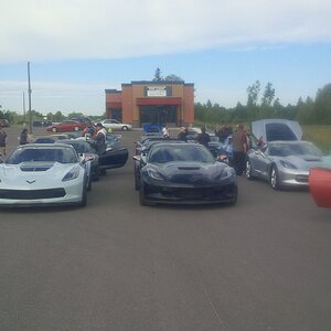 vettes red deer.jpg