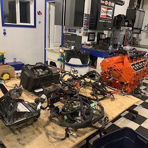 iOS Image - 1975896825.jpg