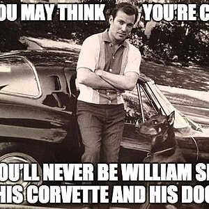 shatner-corvette-dog-meme.jpg